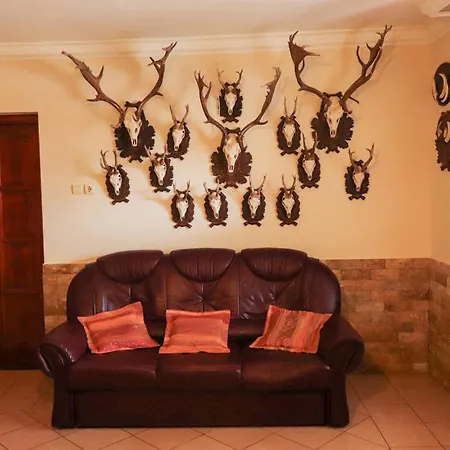 Zsigo Tanya * Kiskunfélegyháza