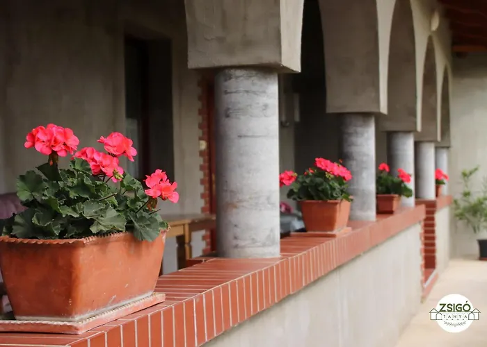 Zsigo Tanya * Kiskunfélegyháza