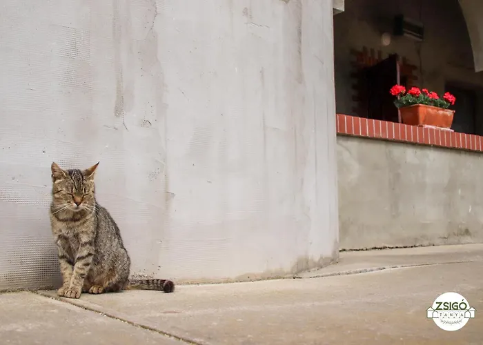 Zsigo Tanya Kiskunfélegyháza